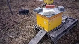 Сезон начался ! 10 апреля