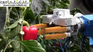 An Autonomous Harvesting Robot for Sweet-pepper in Greenhouses (Fin-Ray end-effector)