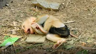 Breaking Heart!!! Crying Loudly Seizure Cos Need Mummy, Baby Alone...