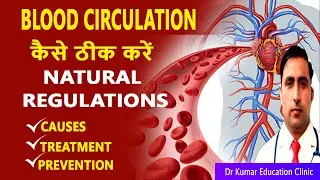BLOOD CIRCULATION कैसे ठीक करें \\CAUSES\\TREATMENT//PREVENTION//