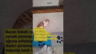 biz Artık yetişemiyoruz Elimizden geleni yapsak da test Sence ihtiyaç var 