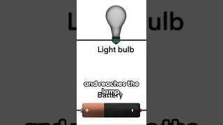 Light Up the Night: Flashlight Selection Guide