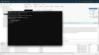 How to login to a vCLS VM?