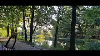 Воспоминания 2023 (какие-то видео))