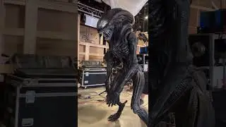 Animatronic Xenomorph for Alien: Romulus 