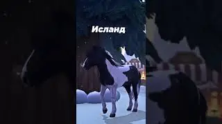 The hard funk of my horses.. 