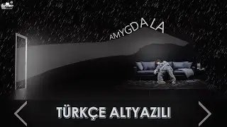 Agust D - AMYGDALA (Türkçe Altyazılı)