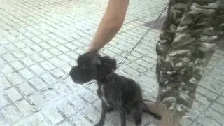la perra de la ana to poseia jajajaja