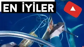 Top 10 Videos on Youtube