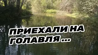 ЛОВЛЯ ГОЛАВЛЯ НА РЕКЕ 20 июля 2022