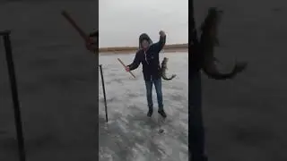 рыбалка удолась.