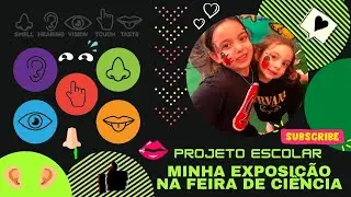 Projeto Escolar, feira de ciência 5 sentidos no corpo humano olfato, paladar, tato, audição, visão