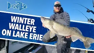 Wild Winter Walleye on Lake Erie