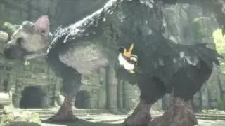 The Last Guardian