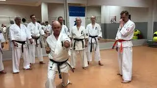 Энкей гяку дзуки