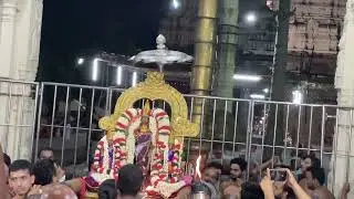 Kanchi Varadharaja swamy Pallava utsava Purappadu