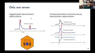 Technical Anomalies in Water-Quality Data from In-Situ Sensors: What, Why, and How?