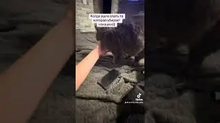 😂