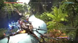 Aerial capture : South