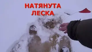 НАТЯНУТА ЛЕСКА ....  .