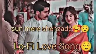 sun mere shehzade Lofi Song_Lofi and reverb_ romantic Song @LofiGirl