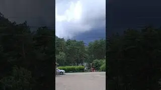#shortsvideo #nature #природа #казахстан #travel