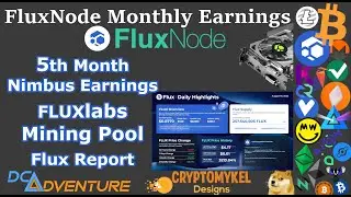 Node Update - 5th Months NIMBUS FLUX Node Earnings And Some Spicy FLUX News!