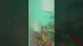 My pets....tank well clean...