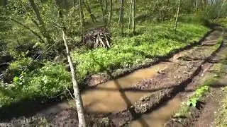 Вы ждали! Наконец-то, новые трактора в кадре...