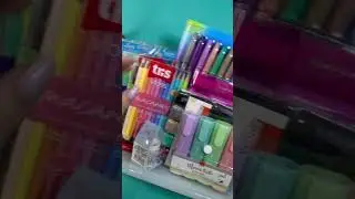 PEDIDO com mais DE 20 MARCA TEXTOS na MINHA PAPELARIA!!! 😱😍| Bia Winston