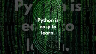 Why learn Python?