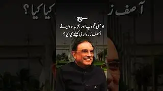 اومنی گروپ اور بحریہ ٹاون نےآصف زرداری کیلئے کیا کیا ؟