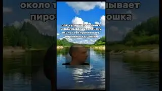 шорты картошка