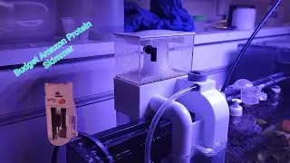 Budget Amazon Protein Skimmer for Nano Reef Aquarium