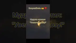 Один мудрец сказал. Самое лучшее лекарство для человека - любовь и забота.