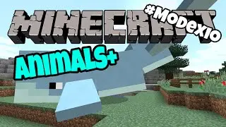 #Modexio