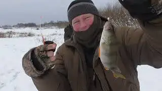 Зимняя рыбалка у острова на Чепце.