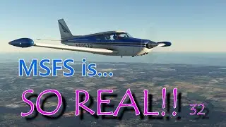 MSFS is... SO REAL!! 32