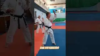 Работа на расслабление руки. Asai Ryu karatedo. 