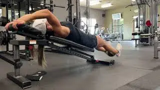 Weighted decline leg raise