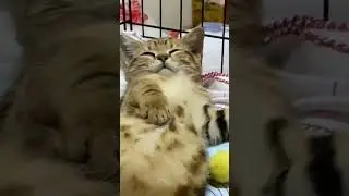 Когда утром звенит будильник