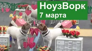 Ноузворк