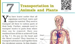 Class 7th l Science l  Chapter 7 l  Transportation in animals and plants Explanation l Carb Academy