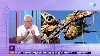 Gradić fest otvara vrata spektaklu: Tri dana ulične muzike u podgrađu Petrovaradinske tvrđave