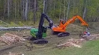 НП 