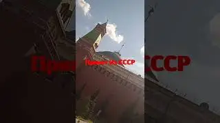 10 августа 2024 г.