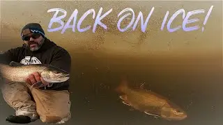 MY FIRST ICE 2021/2022 | Ice Fishing Splake | Catch and Cook