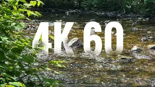 iPhone 13 Pro Max - 4K@60fps Video Test!