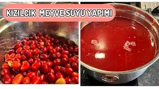 EN SAĞLIKLI KIZILCIK MEYVE SUYU YAPIMI❗️KIZILCIK DONDURUCADA BU YÖNTEMLE SAKLIYORUM✔️KIZILCIK VLOG