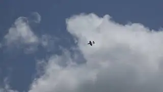 Nano Trim Flight